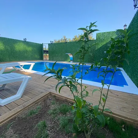 Evergreen * Cakirlar